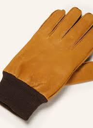 Premium Western Riding Gloves –  Leather Horse Riding Gloves for Men & Women | Durable & Comfortable Grip
